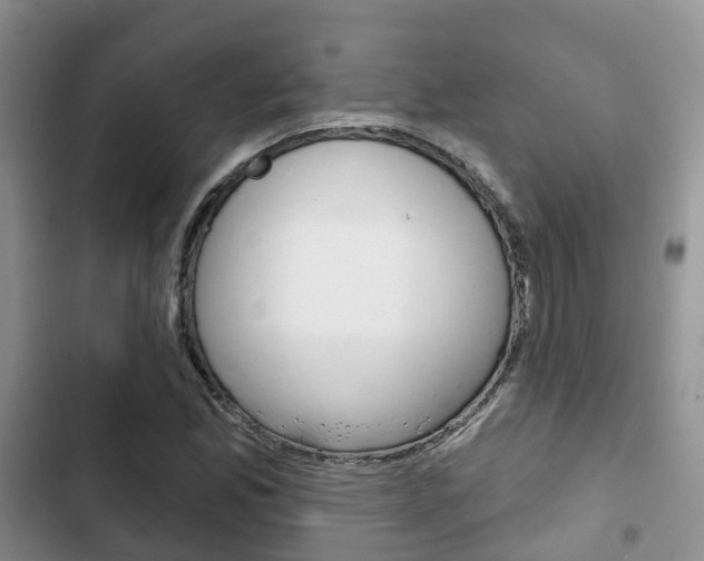 X0000102771165200808180948