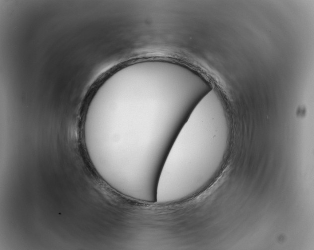 X0000102771166200808180948