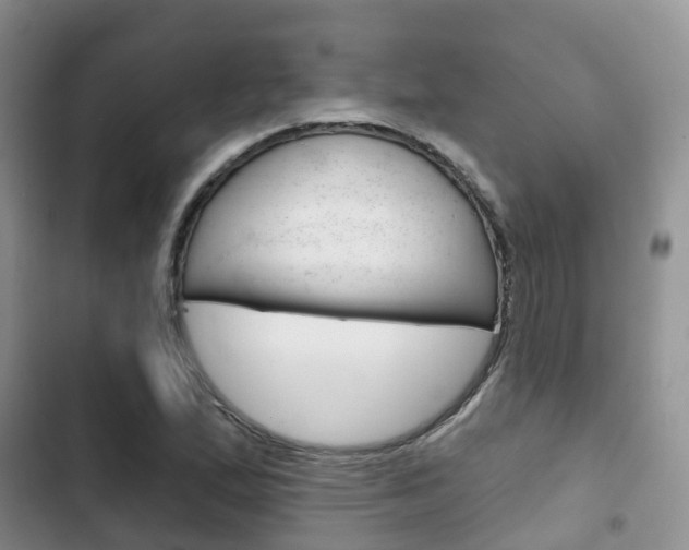 X0000102771167200808180948