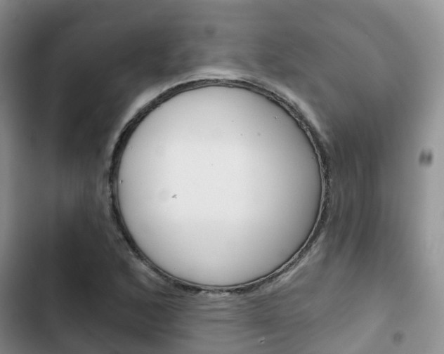 X0000102771168200808180948