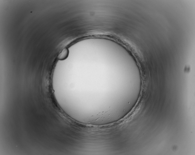 X0000102771169200808180948
