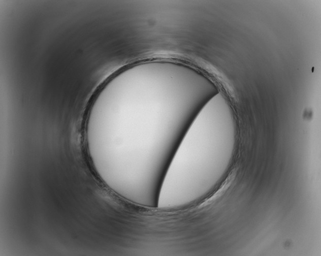 X0000102771170200808180948