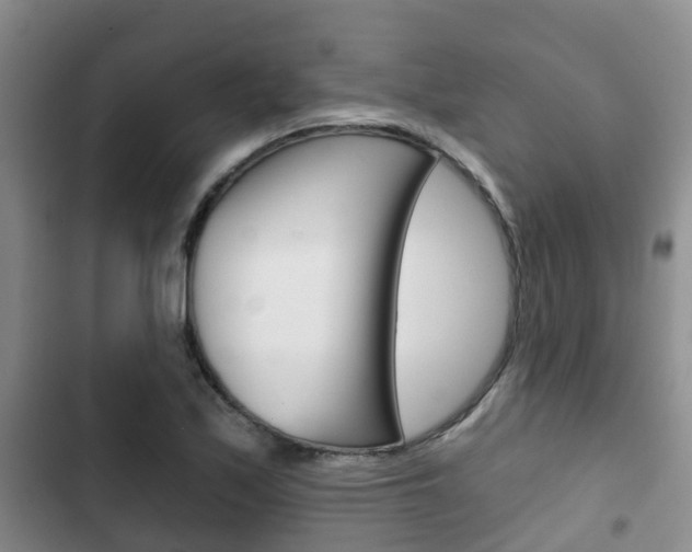 X0000102771171200808180948