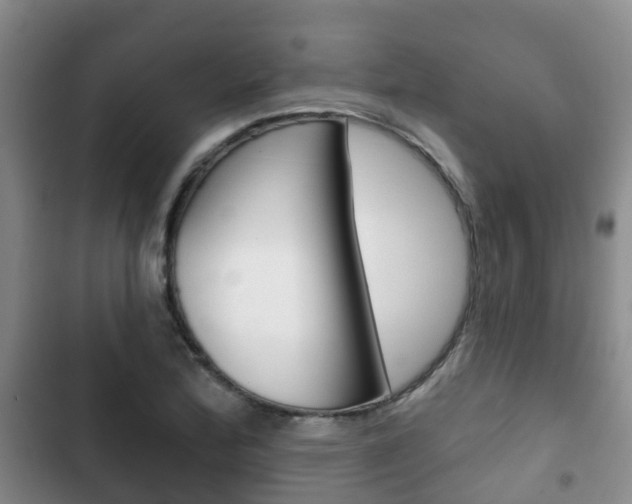 X0000102771172200808180948