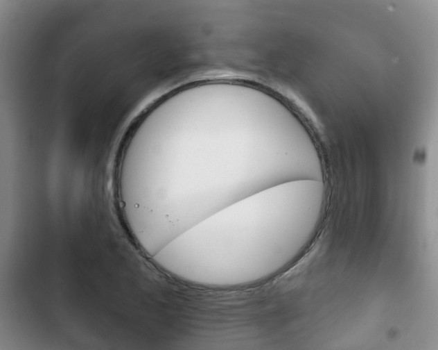 X0000102771173200808180948