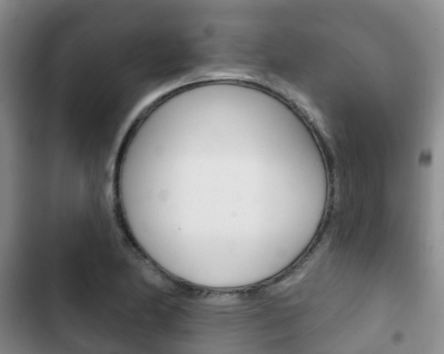 X0000102771174200808180948