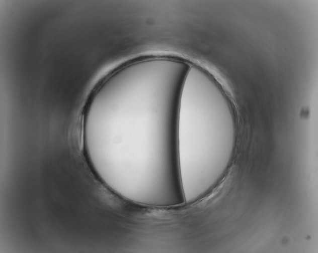 X0000102771175200808180948