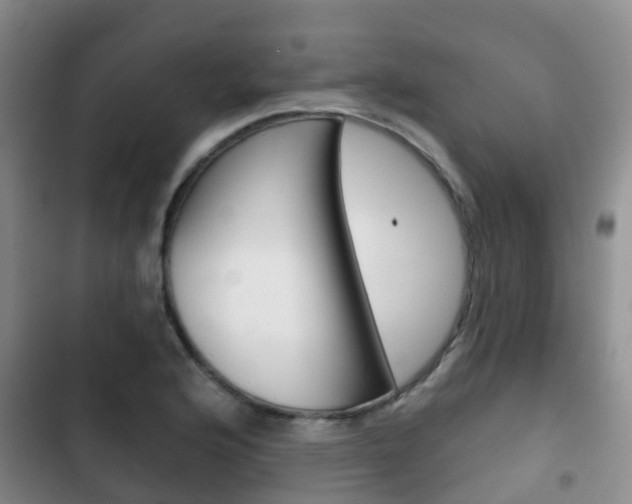 X0000102771176200808180948