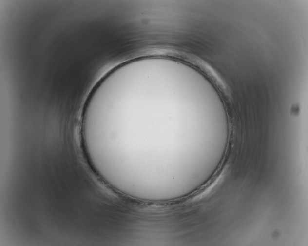 X0000102771178200808180948