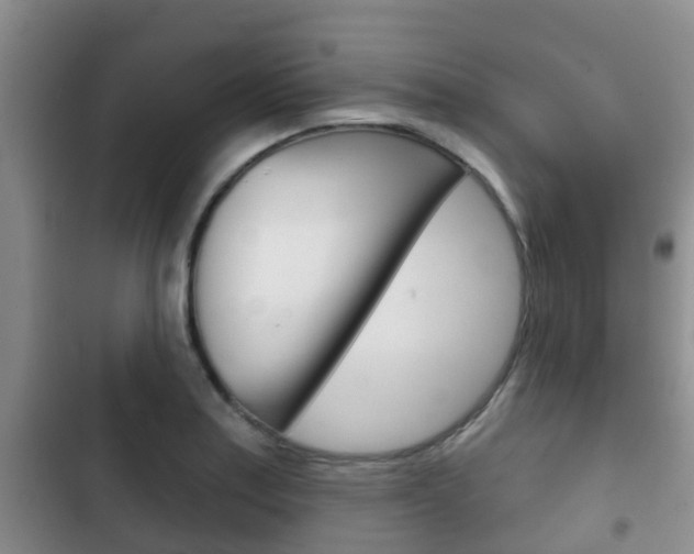 X0000102771179200808180948
