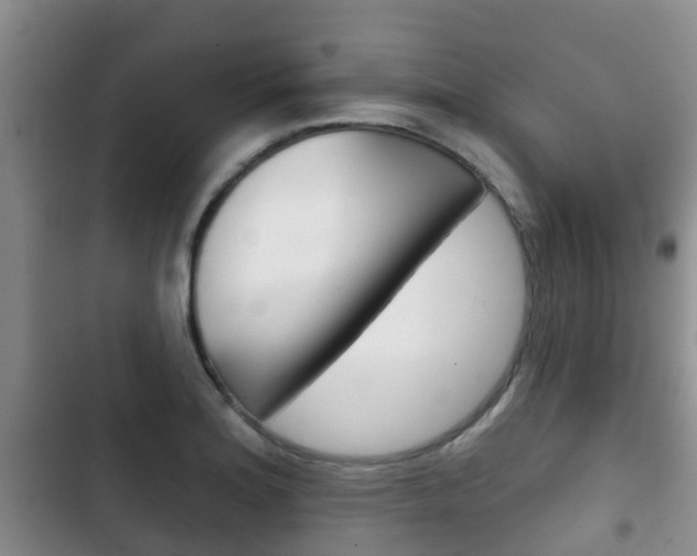 X0000102771180200808180948