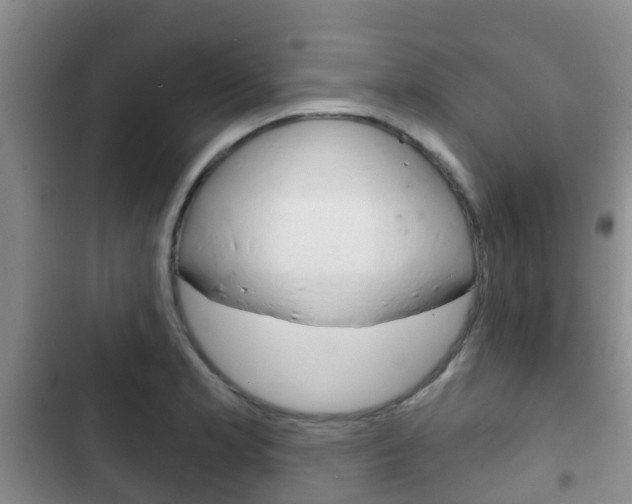 X0000102771181200808180948