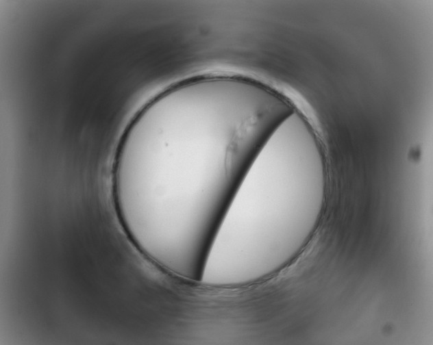 X0000102771183200808180948