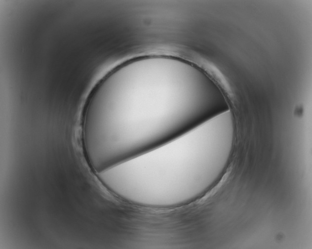 X0000102771184200808180948