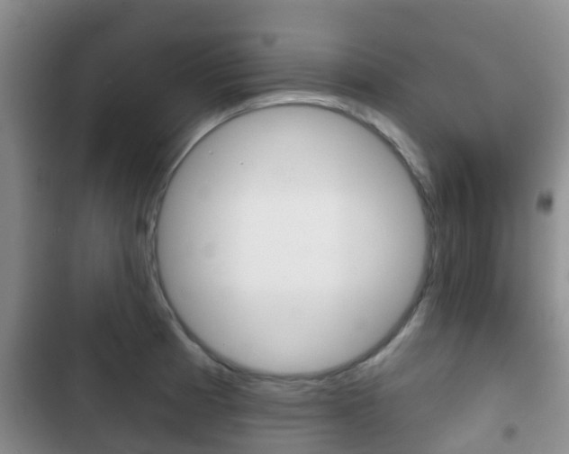 X0000102771185200808180948