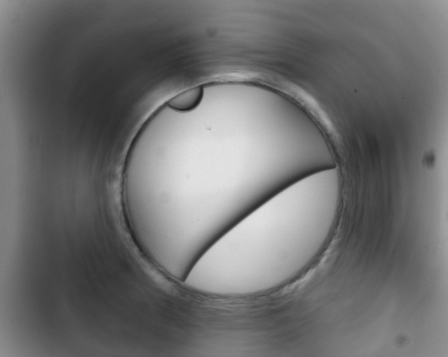 X0000102771186200808180948