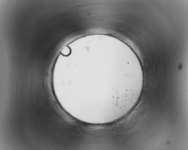 X0000102771187200808180948