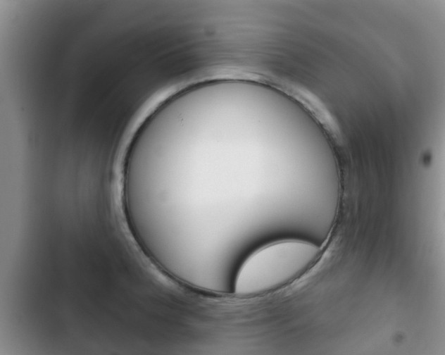 X0000102771188200808180948