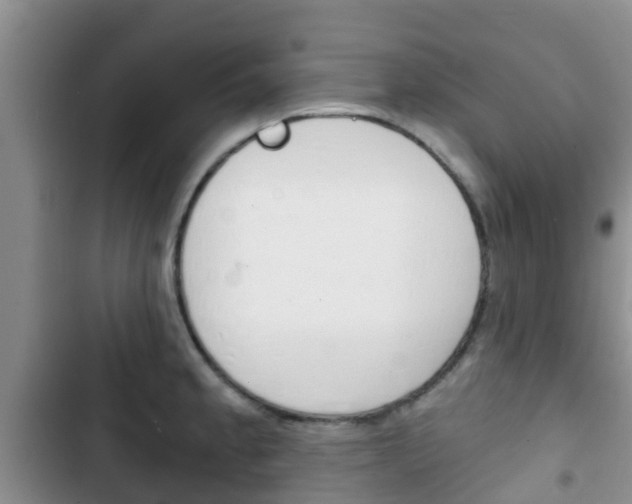 X0000102771189200808180948