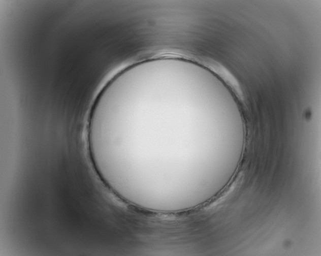 X0000102771190200808180948
