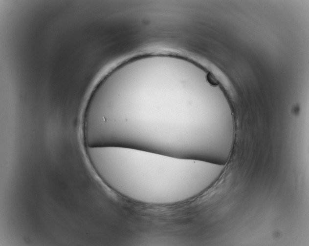 X0000102771191200808180948