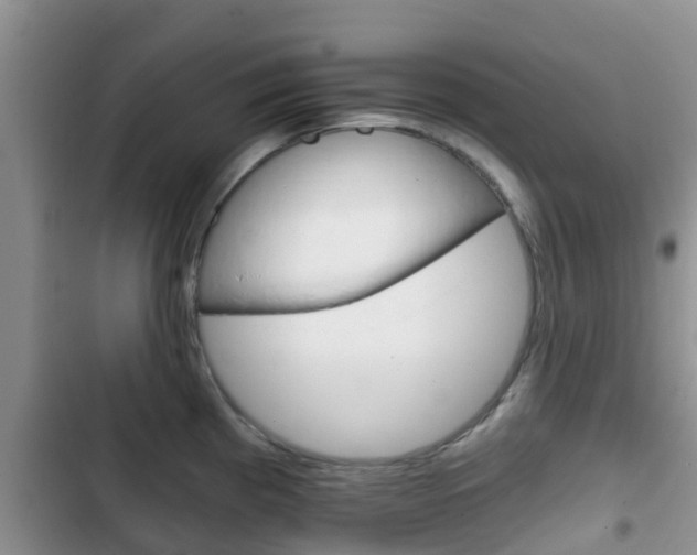 X0000102771193200808180948