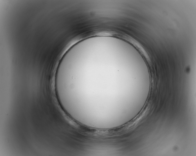 X0000102771194200808180948