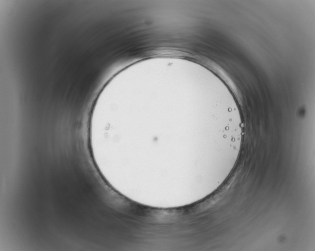 X0000102771195200808180948