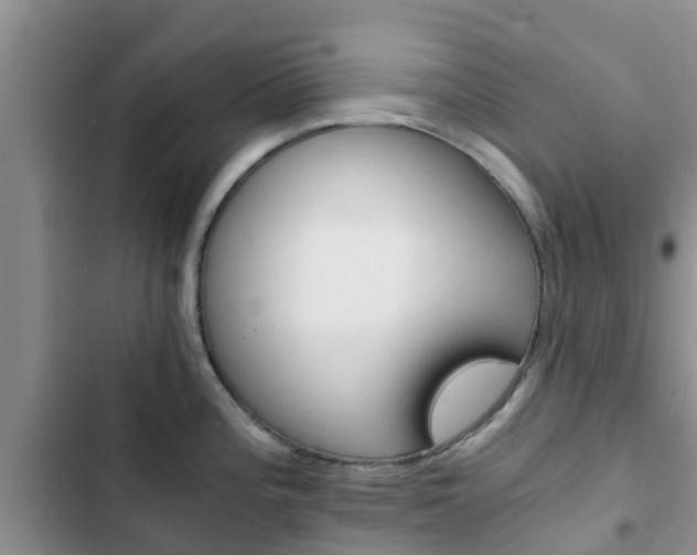 X0000102771196200808180948