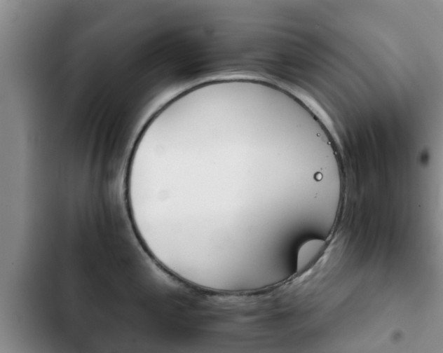 X0000102771197200808180948
