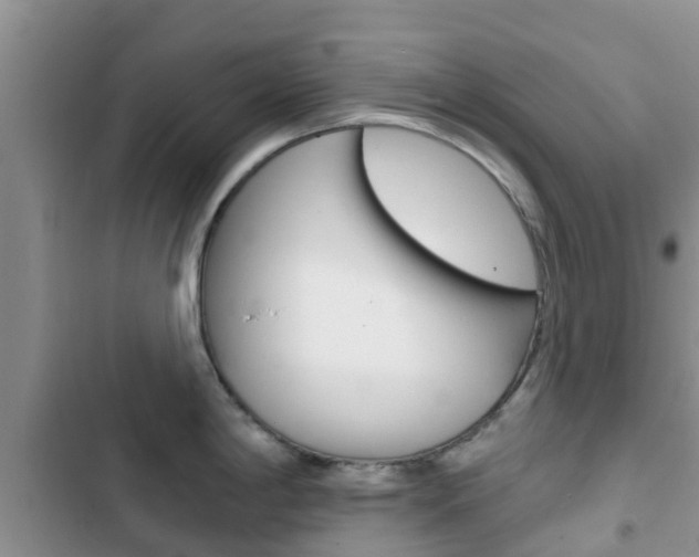 X0000102771198200808180948