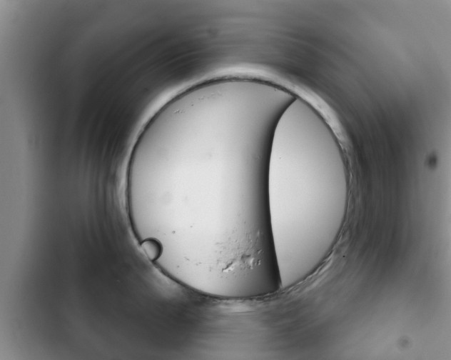 X0000102771199200808180948
