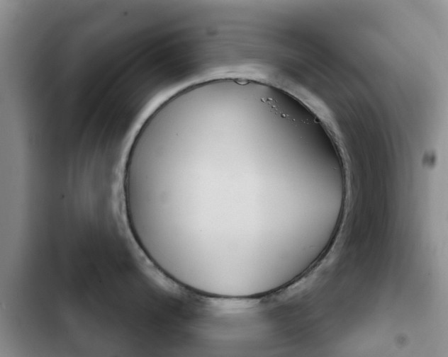 X0000102771200200808180948