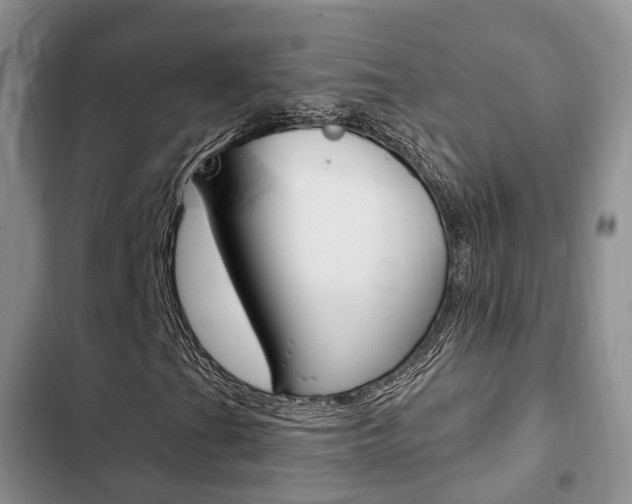 X0000102771201200808180947
