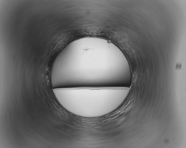 X0000102771202200808180947