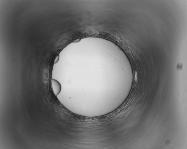 X0000102771203200808180947