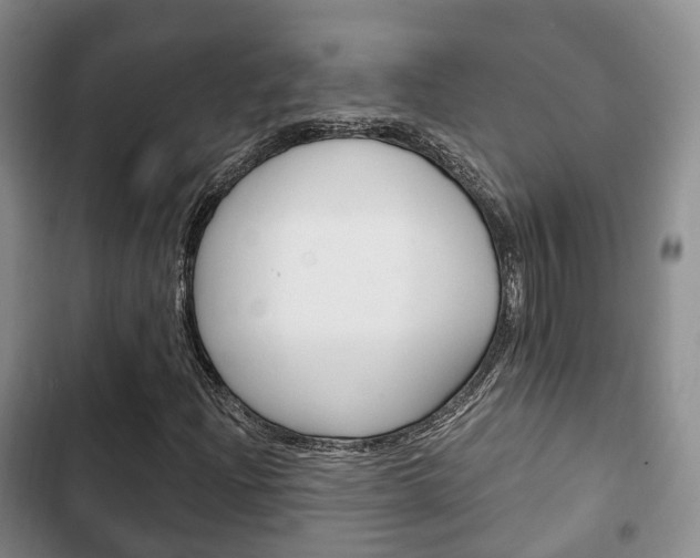 X0000102771204200808180947