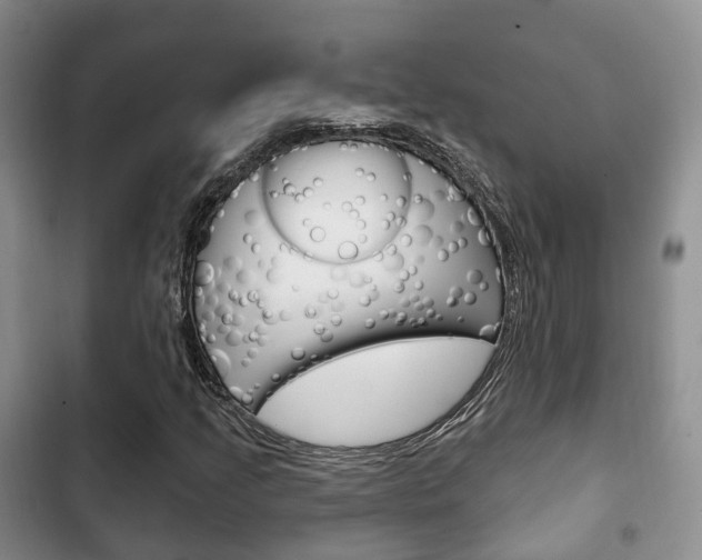 X0000102771205200808180947