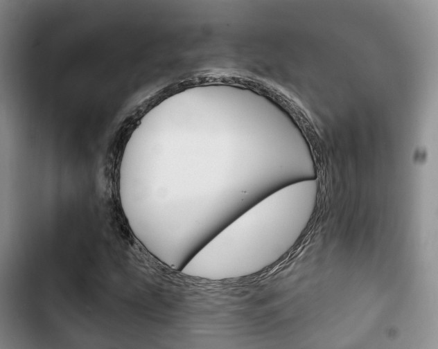 X0000102771207200808180947