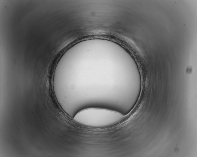 X0000102771209200808180947
