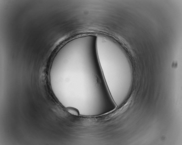 X0000102771210200808180947