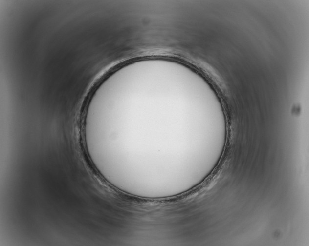 X0000102771212200808180947