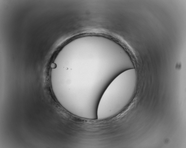 X0000102771215200808180947