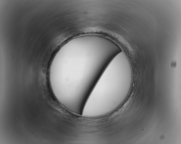 X0000102771217200808180947