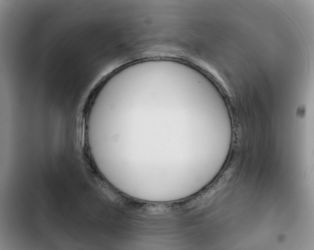 X0000102771219200808180947