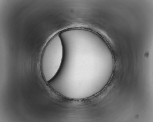 X0000102771220200808180947