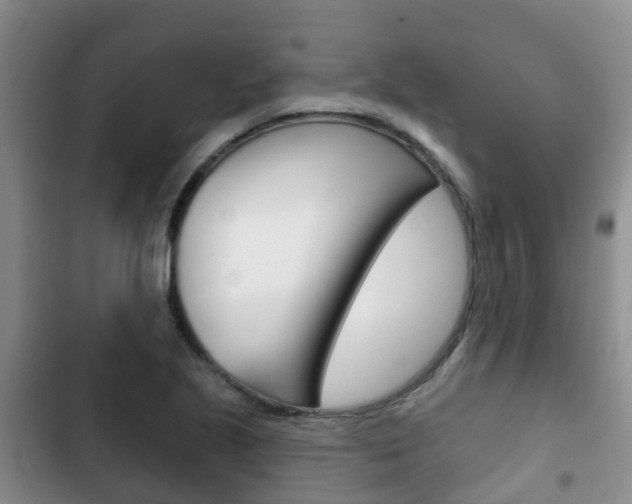 X0000102771221200808180947