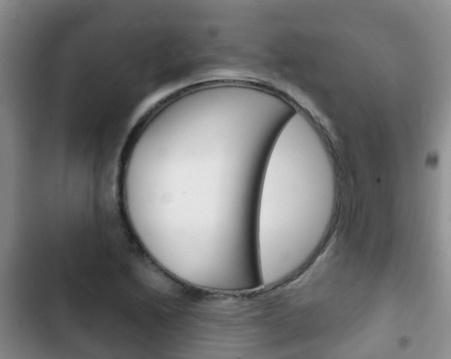 X0000102771222200808180947