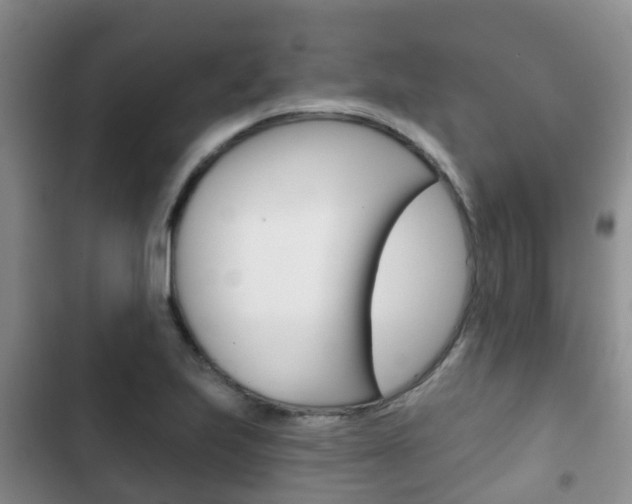 X0000102771223200808180947
