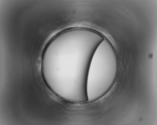 X0000102771224200808180947